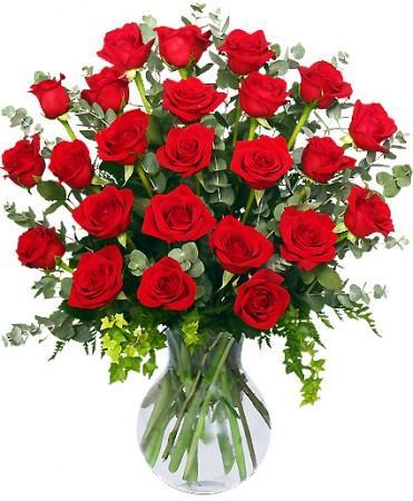 24 Radiant Roses Red Roses Arrangement