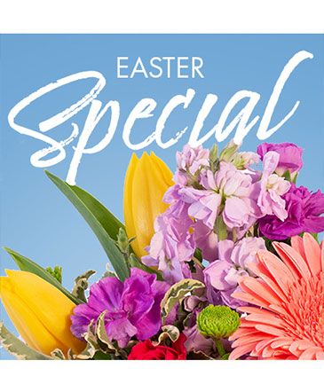 Easter Special Designer's Choice in Batesville, AR | Signature Baskets Flowers & Gifts