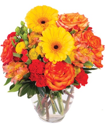 Amber Awe Floral Design in Batesville, AR | Signature Baskets Flowers & Gifts
