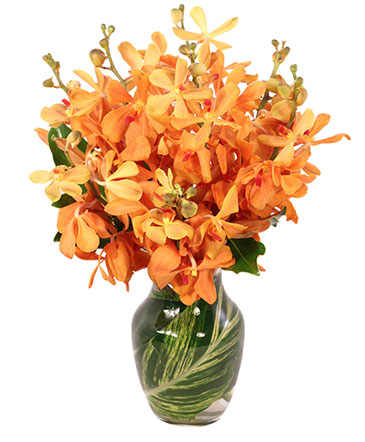 Amber Orchids Floral Design in Batesville, AR | Signature Baskets Flowers & Gifts