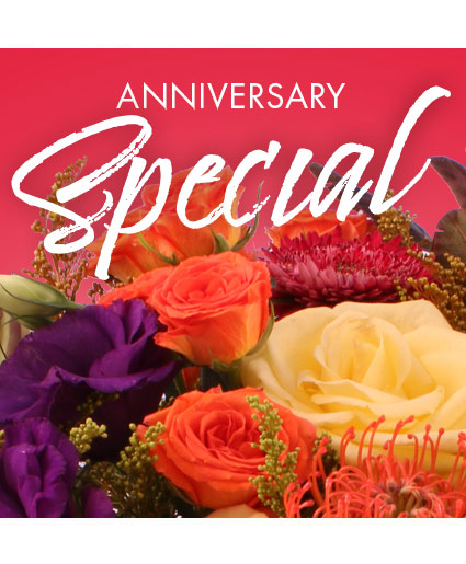 Anniversary Special Designer's Choice