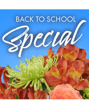 Back to School Special Designer's Choice in Batesville, AR | Signature Baskets Flowers & Gifts
