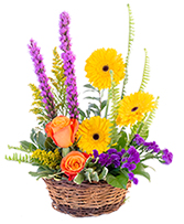 Basket of Blooms Basket Arrangement