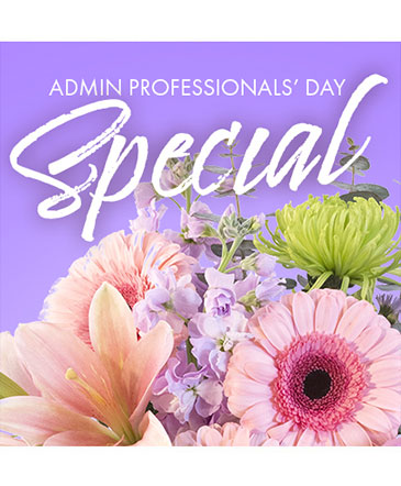 Beautiful Admin Special Designer's Choice in Batesville, AR | Signature Baskets Flowers & Gifts