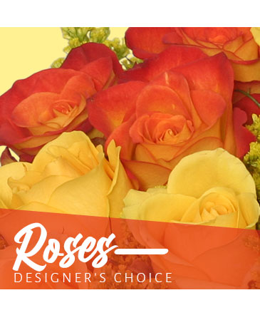 Beautiful Roses Designer's Choice in Batesville, AR | Signature Baskets Flowers & Gifts