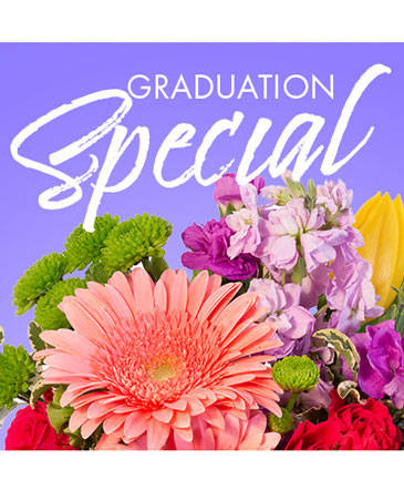 Graduation Special Designer's Choice in Batesville, AR | Signature Baskets Flowers & Gifts
