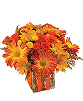 Bonfire Nights Bouquet