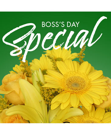 Boss's Day Special Designer's Choice in Batesville, AR | Signature Baskets Flowers & Gifts