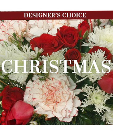 Christmas Flower Arrangement Designer's Choice in Batesville, AR | Signature Baskets Flowers & Gifts