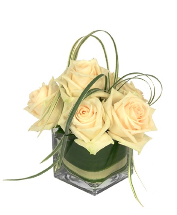 Dainty White Roses Floral Design in Batesville, AR | Signature Baskets Flowers & Gifts