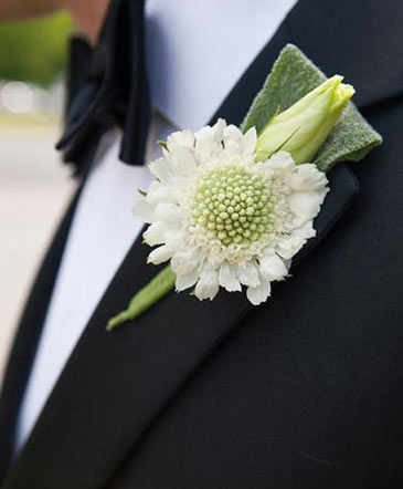 Dashing Boutonniere in Batesville, AR | Signature Baskets Flowers & Gifts