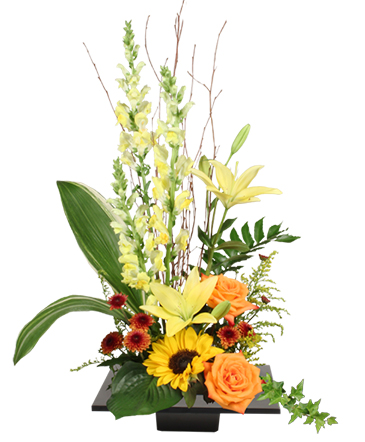 Expressive Blooms Arrangement in Batesville, AR | Signature Baskets Flowers & Gifts