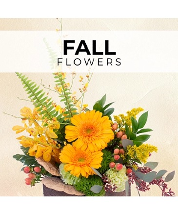 Fall Florist’s Pick Designer's Choice in Batesville, AR | Signature Baskets Flowers & Gifts