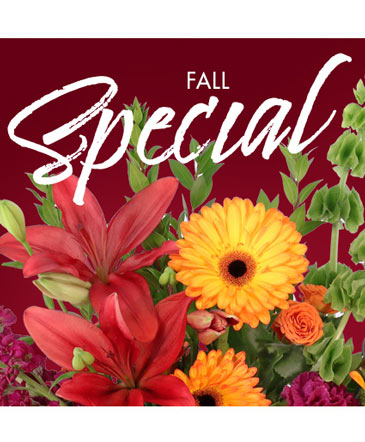 Fall Special Designer's Choice in Batesville, AR | Signature Baskets Flowers & Gifts