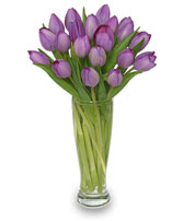 Purple Amethyst Tulip Bouquet
