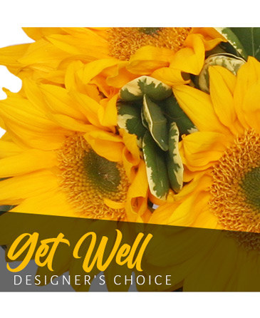 Get Well Bouquet Designer's Choice in Batesville, AR | Signature Baskets Flowers & Gifts