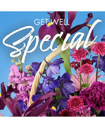 Get Well Special Florals Designer's Choice in Batesville, AR | Signature Baskets Flowers & Gifts