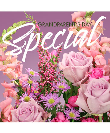 Grandparents Day Special Designer's Choice in Batesville, AR | Signature Baskets Flowers & Gifts