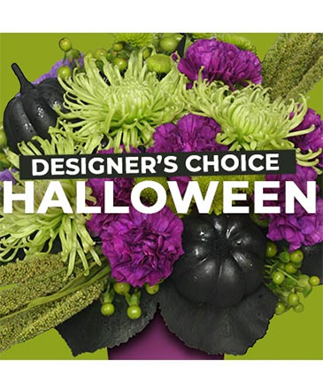 Halloween Florals Designer's Choice in Batesville, AR | Signature Baskets Flowers & Gifts