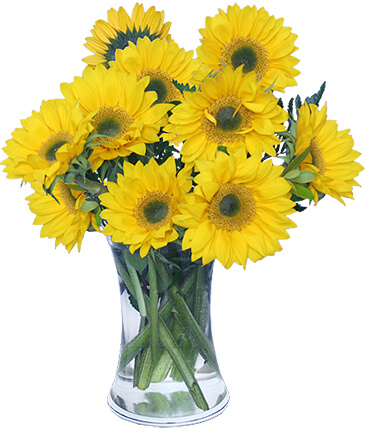 Hello Sunshine! Vase of Flowers in Batesville, AR | Signature Baskets Flowers & Gifts