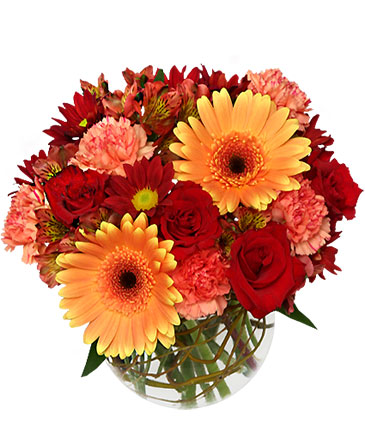 Hot & Spicy Vase of Flowers in Batesville, AR | Signature Baskets Flowers & Gifts