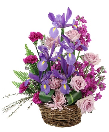 Iris Affection Basket Arrangement in Batesville, AR | Signature Baskets Flowers & Gifts