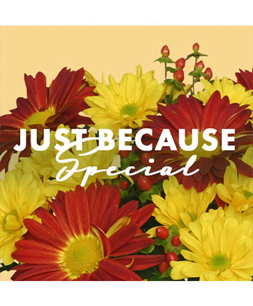 Just Because Special Designer's Choice in Batesville, AR | Signature Baskets Flowers & Gifts