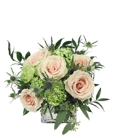 Light Pink Simplicity Rose Arrangement  in Batesville, AR | Signature Baskets Flowers & Gifts