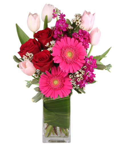 LOVE-FEST Flowers