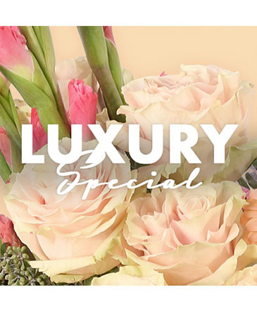 Luxury Floral Special Designer's Choice in Batesville, AR | Signature Baskets Flowers & Gifts