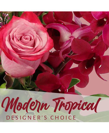 Modern Tropical Beauty Designer's Choice in Batesville, AR | Signature Baskets Flowers & Gifts
