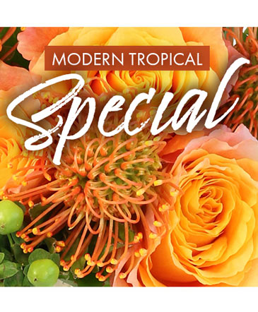 Modern Tropical Special Designer's Choice in Batesville, AR | Signature Baskets Flowers & Gifts