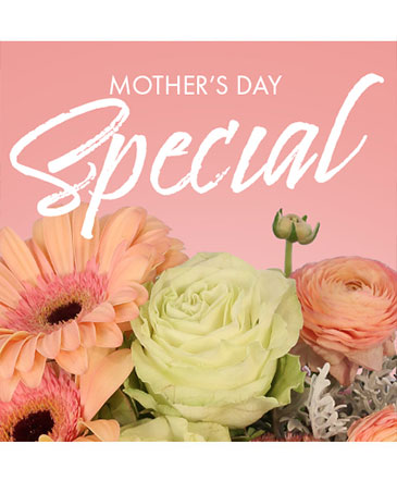 Mother's Day Special Designer's Choice in Batesville, AR | Signature Baskets Flowers & Gifts