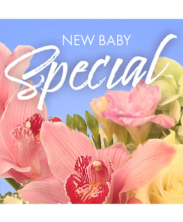 New Baby Favorite Designer's Choice in Batesville, AR | Signature Baskets Flowers & Gifts