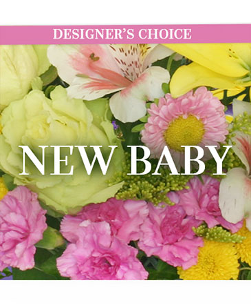 New Baby Florals Designer's Choice in Batesville, AR | Signature Baskets Flowers & Gifts