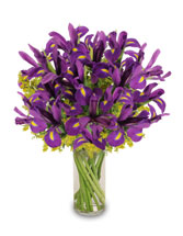 Purple Heart Iris Vase