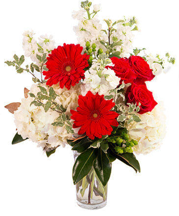 Red Frost Floral Arrangement in Batesville, AR | Signature Baskets Flowers & Gifts