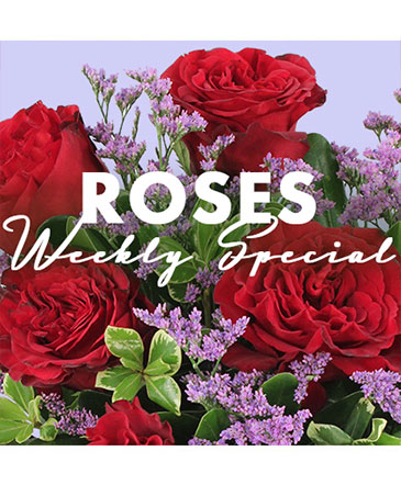 Rose Special Designer's Choice in Batesville, AR | Signature Baskets Flowers & Gifts