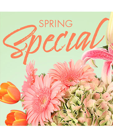Special of Spring Florals Designer's Choice in Batesville, AR | Signature Baskets Flowers & Gifts