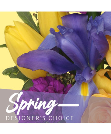 Spring Designer's Choice in Batesville, AR | Signature Baskets Flowers & Gifts