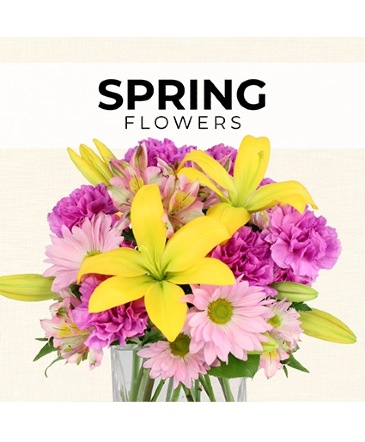 Spring Florist’s Pick Designer's Choice in Batesville, AR | Signature Baskets Flowers & Gifts