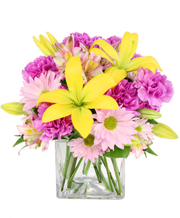 Spring Forward Arrangement in Batesville, AR | Signature Baskets Flowers & Gifts