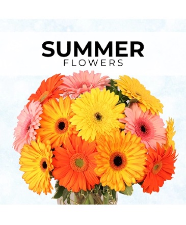 Summer Florist’s Pick Designer's Choice in Batesville, AR | Signature Baskets Flowers & Gifts