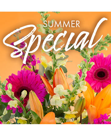 Summer Special Weekly Deal in Batesville, AR | Signature Baskets Flowers & Gifts