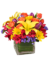 SUN-INFUSED FLOWERS Summer Arrangement