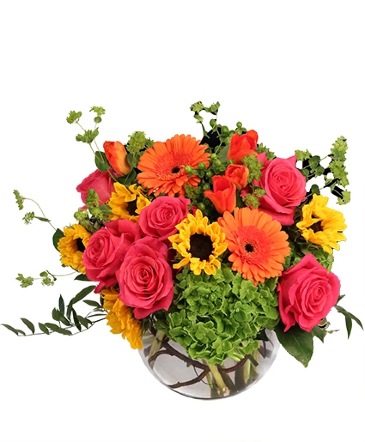 Sunny Citrus Charm Flower Arrangement in Batesville, AR | Signature Baskets Flowers & Gifts