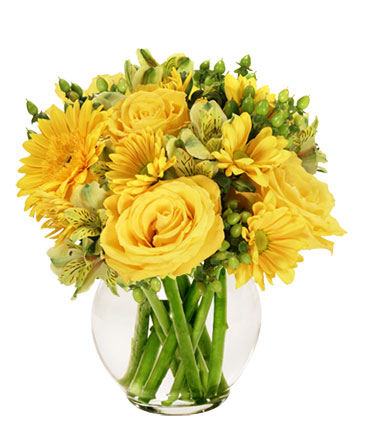 Sunshine Perfection Floral Arrangement in Batesville, AR | Signature Baskets Flowers & Gifts