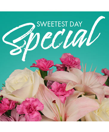Sweetest Day Special Designer's Choice in Batesville, AR | Signature Baskets Flowers & Gifts