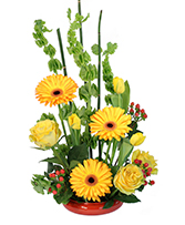 The Golden Years Floral Design