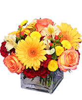 AUTUMN AFFECTION Floral Bouquet